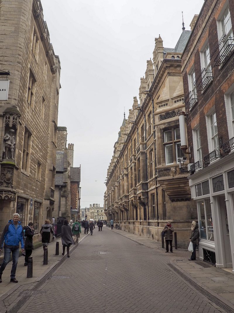 things to do in cambridge