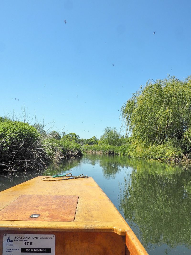 Westgate Punts Canterbury