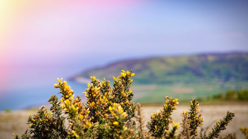 AD | 5 Of the Best Places to Visit in the UK