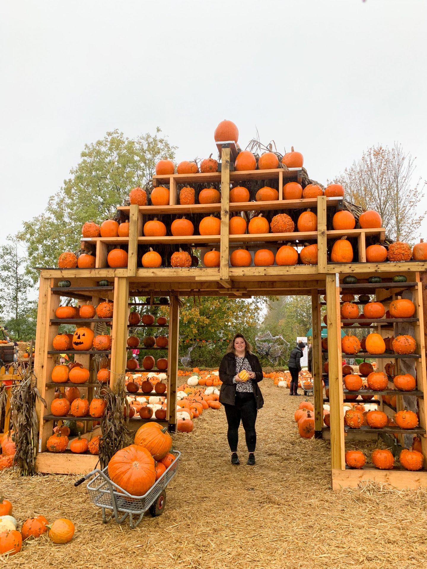 pumpkin picking cammas hall
