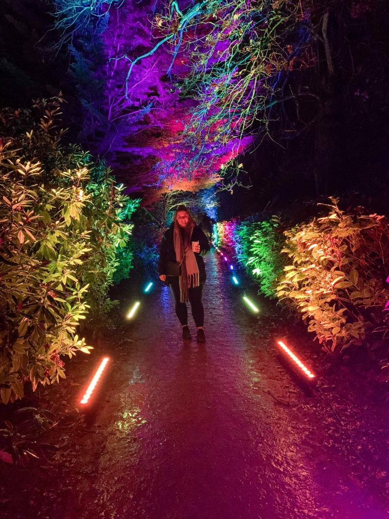 Hylands Park Outdoor Light Trail